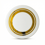 أطباق فيجا سمارت 100 وات تحكم ريموت